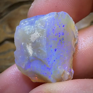 31.1cts - Lightning Ridge Opal Rough Piece