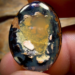WILDCARD KERNEL 19.5cts - Yowah Nut Crystal Centre Opal. Australian Boulder Opal