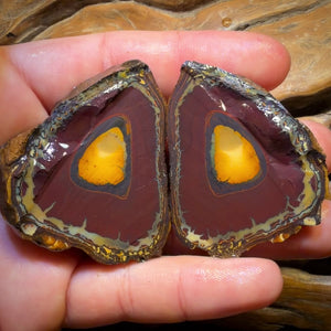 Roadshow Wildcard! 422cts - RARE Yowah Nut Kernel Opal Rough Specimen Pair
