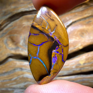 HDW 21.1cts - Tribal Queensland Boulder Opal. Australian Opal