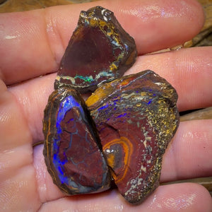 🔒157,6 cts - Lot de 3 opales brutes Yowah Nut. Opale boulder australienne