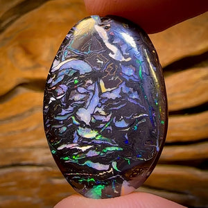 48.3cts - Koroit Nut Opal.Top Tribal Double Sided Contrasting Patterns Australian Opal