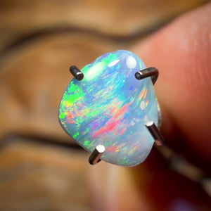 0,2 ct - Opale fossile de coquillage polie d'Australie du Sud