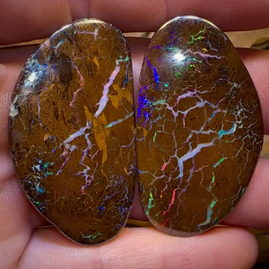 106.6cts - Magnificent Bubble Band Opal Pair With Red Muti Colours