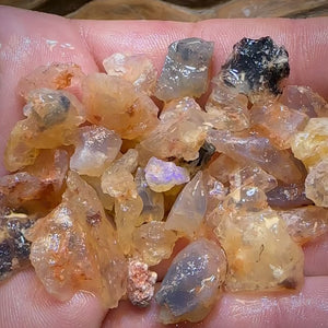 🔨 AUCTION 🔨 145.9cts - 50x Opalised Fossil Geological Specimens from Lightning Ridge