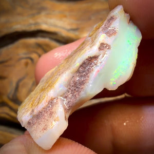 Wild Card! 42.1cts - Large South Australian White Opal Rough Piece