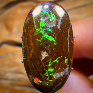 16.5cts - “Electric Boogaloo Bargain” Queensland Boulder Opal from Yowah