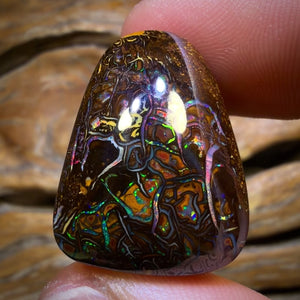 69.3cts - TopTribal Queensland Boulder Opal from Yowah Red Multi