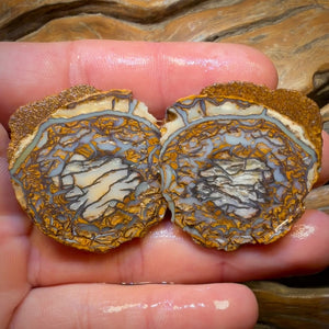 Wildcard! 112.8cts - Yowah Nut Tribal Opal Rough Specimen Pair
