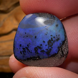 16.7cts - Queensland Boulder Seam Opal Picture Stone