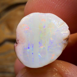 21.8cts - Opalised Belemnite Geological Specimen from South Australia