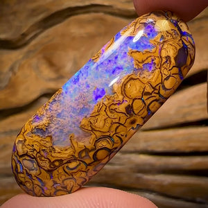 69.2cts - Yowah Nut Tribal Opal w/ Partial Crystal Centre!