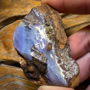 412.6cts - Queensland Boulder Seam Opal Rohstück