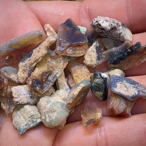 100cts - New buy one get one FREE- Lightning Ridge Fossil Rough Opal Specimen Parcels. BULK LISTING BARGAIN