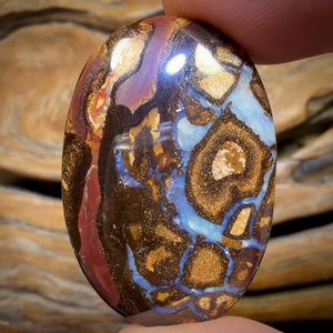 53.3cts - Queensland Boulder Opal from Yowah