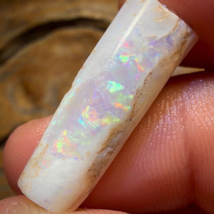 14.9cts - Opalised Belemnite Geological Specimen from South Australia