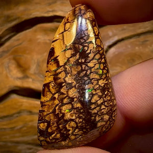 63.9cts - Tribal Queensland Boulder Opal from Yowah