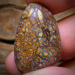 24.3cts - Tan Tribal Yowah Nut Opal. Australian Opal