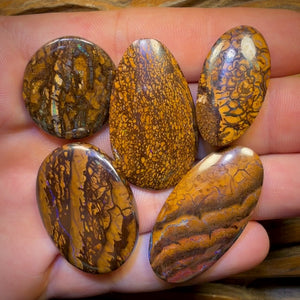 159.1cts - 5x Australian Tribal Boulder Opal’s. Wholesale Dealers Parcel
