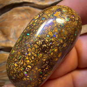 218.7cts - large Tribal Australian Boulder Opal Polished Specimen