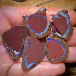 🔨 AUCTION 🔨 192.1cts - 5x Yowah Nut Kernel Rough Half’s Parcel