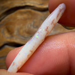 Wild card! 4.6cts - Opalised Belemnite Geological Specimen from South Australia
