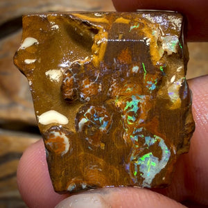Wildcard! 34.4cts - “Super Bright Below?” Yowah Nut Bright Opal Rough Preform