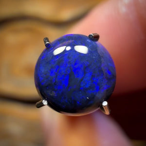 Bargain Card Black! 1.3cts - Black Opal from Lightning Ridge