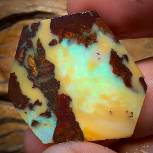 🔨 AUCTION 🔨 41.7cts - Yowah Nut Opal Rub Rough Boulder Preform