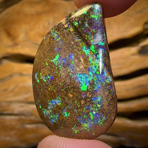 31.4cts - Yowah Nut Opal. Australian Opal