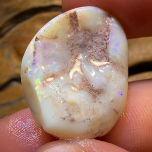 38.5cts - Opalised Shell Geological Specimen from South Australia