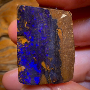 Wildcard! 98.1cts - Queensland Boulder Seam Opal Rough Specimen Piece