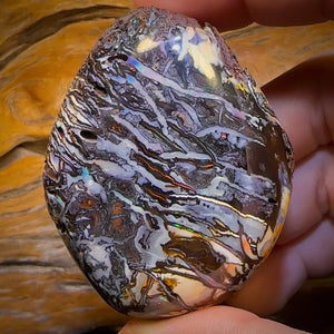 735cts - HUGE Rare Natural Broad Tribal Koroit Nut Opal Polished Specimen