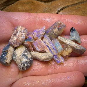 67.8cts - 15x Opalised Fossil Geological Specimens from Lightning Ridge