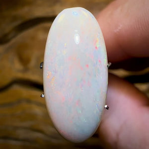 5.95cts - South Australian White Opal Big Bargain