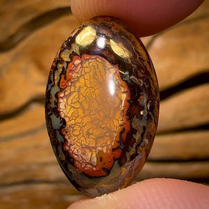 9.6cts - Yowah Nut Kernel Opal. Australian Boulder Opal
