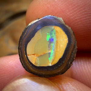 🔨 AUCTION 🔨 11.3cts - Yowah Nut Kernel Opal. Polished Specimen