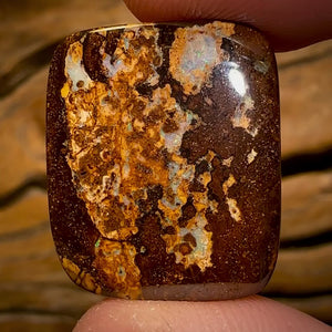 🔨 AUCTION 🔨 No Reserve 21.6cts - Yowah Nut Opal