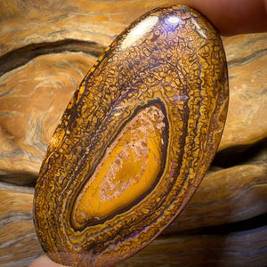 248.8cts - Large Tribal Queensland Boulder Opal from Yowah $1/ct Massive Cut Stone