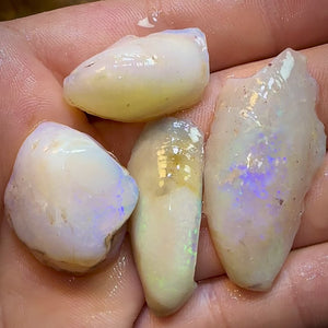 71.4cts - 4x Opalised Shell Geological Specimens from South Australia