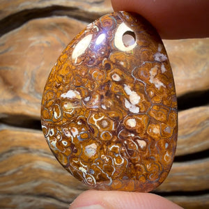 36 x 27mm - Drilled Tribal Queensland Boulder Opal