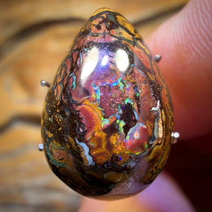 11.8cts - Tribal Queensland Boulder Opal from Yowah