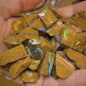 The 125g - 50 x Queensland Boulder Pipe Opal Rough. Australian Opal