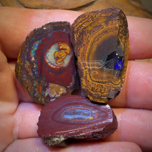 🔒126cts - 3x Yowah Nut Partial Crystal Centre Rough Specimen Parcel