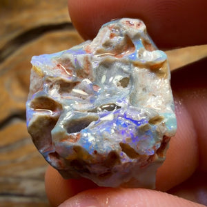 28.7cts - Lightning Ridge Dark Opal Rough Piece