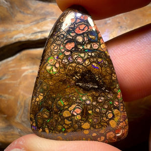 Bargain Card! 52.1cts - “Electric Swirls”Tight Tribal Queensland Boulder Opal from Yowah