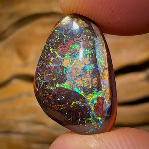 9.1cts - Yowah Nut Tribal Kernel Opal. Australian Boulder Opal