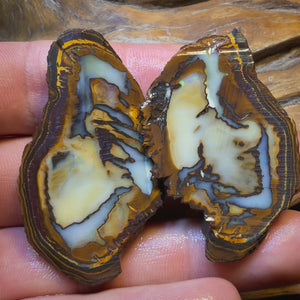 Dad Card! 159cts - Yowah Nut Rough Specimen Pair