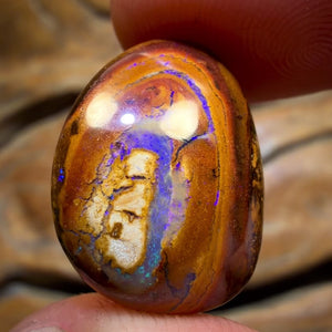 15.1cts - Yowah Nut Kernel Opal. Australian Boulder Opal
