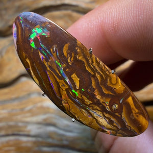 14.9cts - Yowah Nut Opal. Red Multicolour